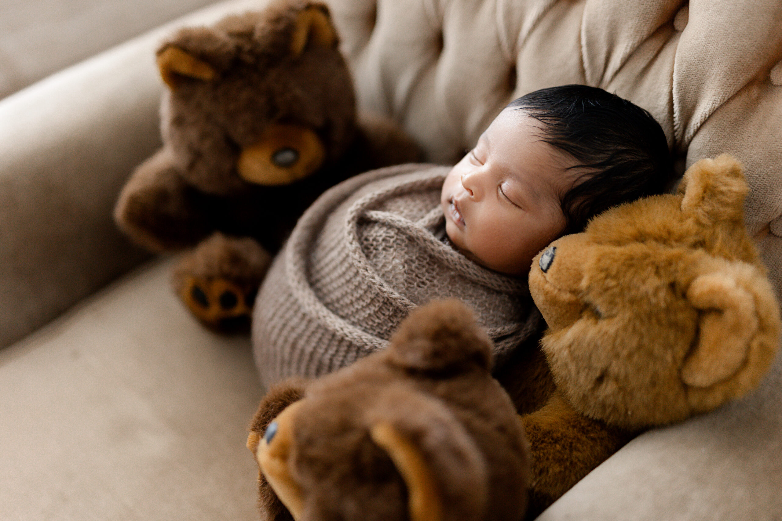 Abbotsford newborn photographer 